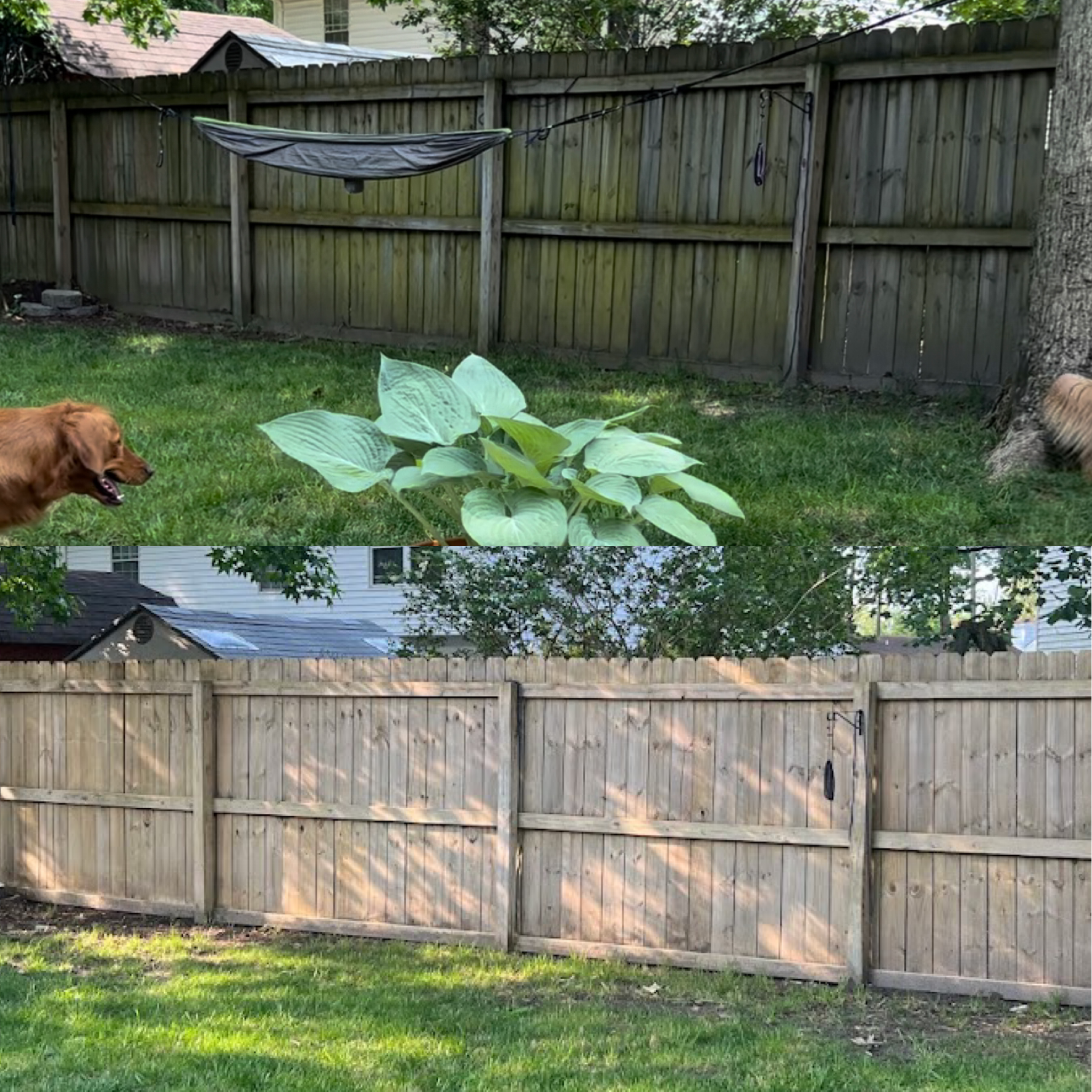 Professional fence cleaning services in Virginia Beach